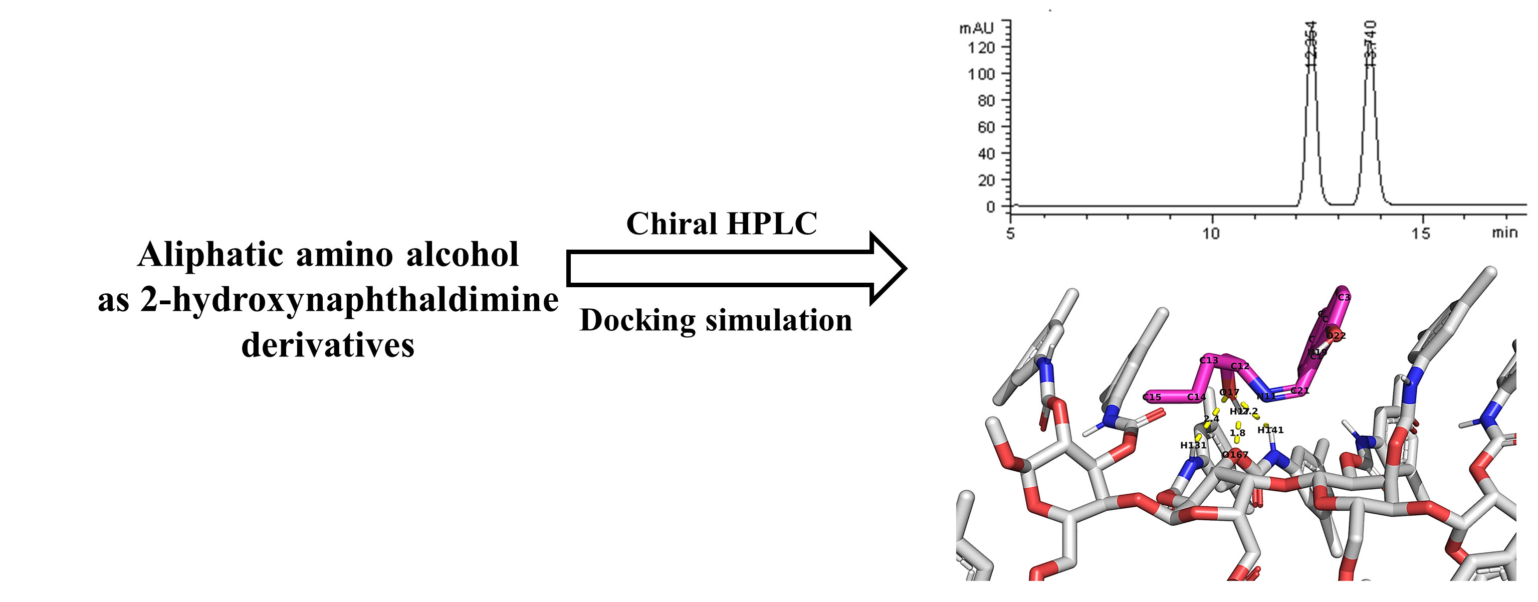 AST-2024-028_R1_P_Graphical Abstract_001.jpg
